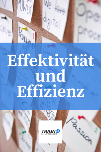 Effektivität_Effizienz